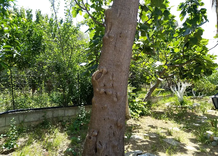 Appartamento Amaranthos Skiathos View Megali Ammos (Skiathos)